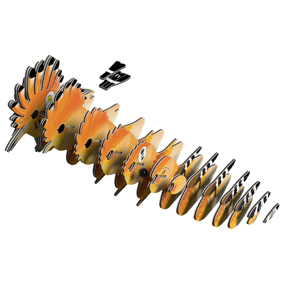 EUGY Hoopoe 3D cardboard model kit - exploded view of the numbered layers