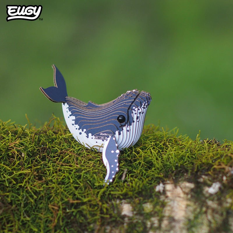 EUGY Humpback Whale 3D cardboard model kit - built model on display