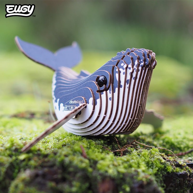 EUGY Humpback Whale 3D cardboard model kit - built model on display
