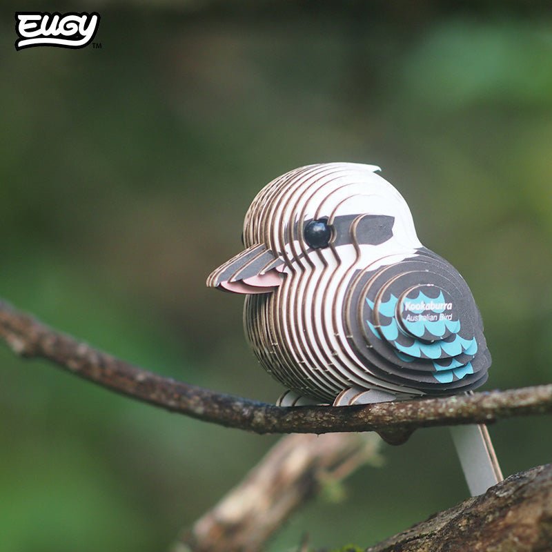 EUGY Kookaburra 3D cardboard model kit - built model on display