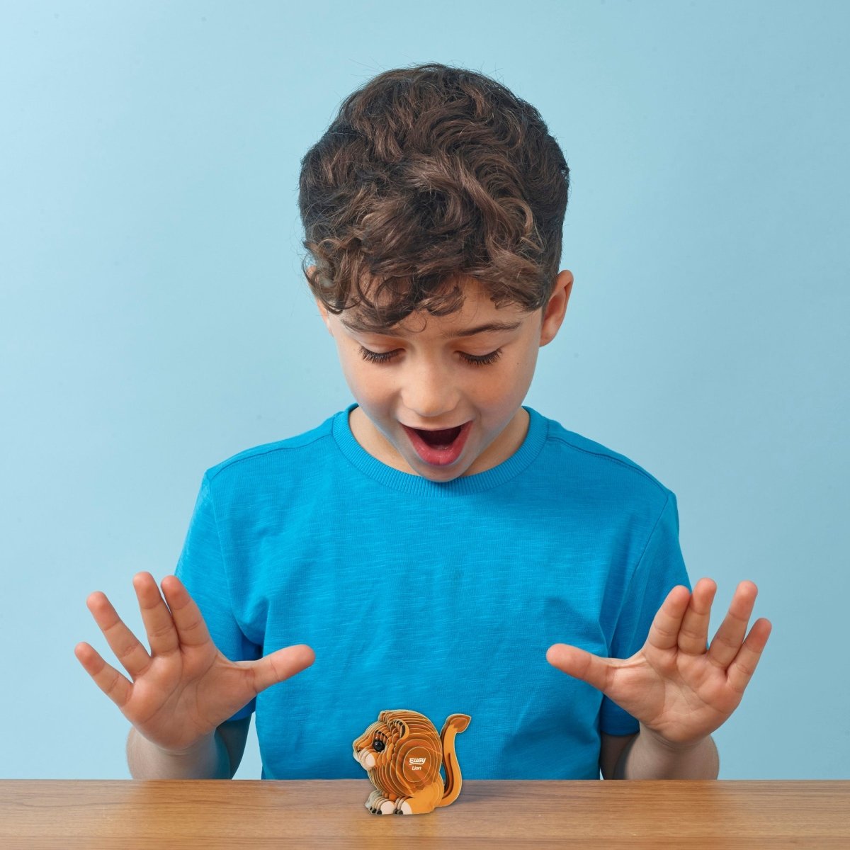 EUGY Lion 3D cardboard model kit - child with the finished model