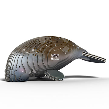 EUGY Manatee