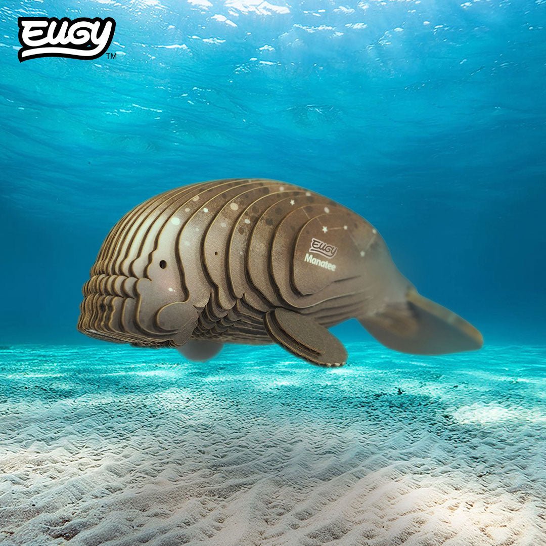 EUGY Manatee 3D cardboard model kit - built model on display