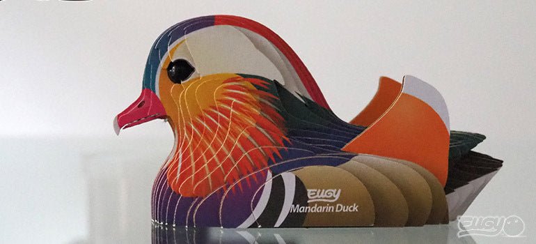 Finished EUGY Mandarin Duck card model on a table, side view showing its colourful plumage
