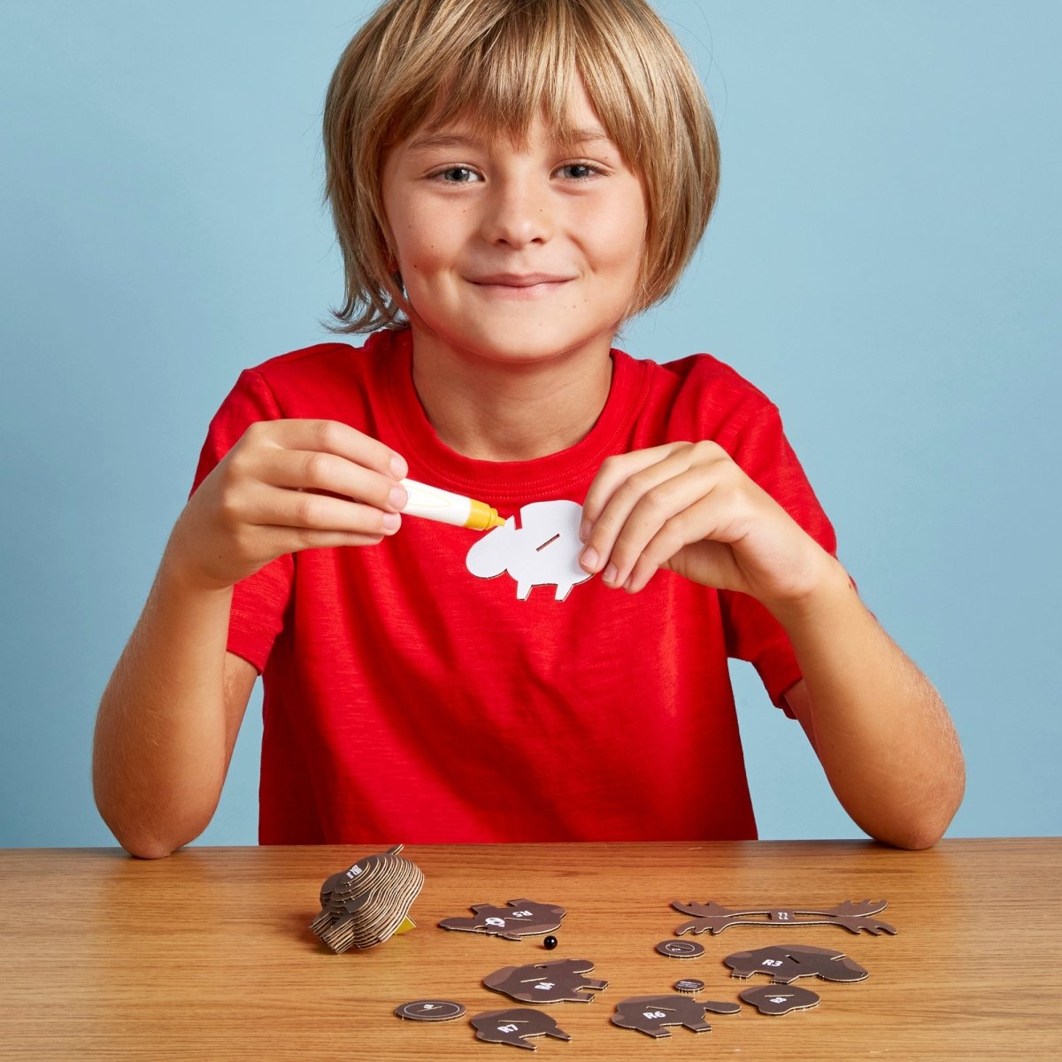 EUGY Moose 3D cardboard model kit - child gluing the pieces