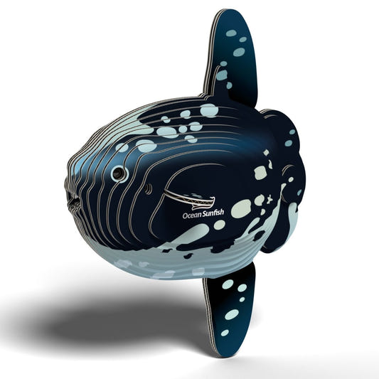EUGY Ocean Sunfish 3D cardboard model kit - finished model