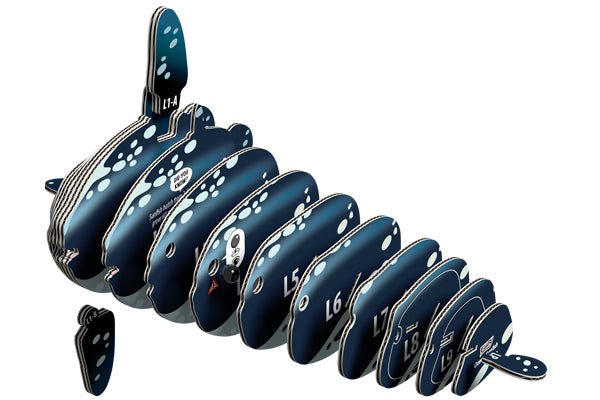 EUGY Ocean Sunfish exploded view showing the numbered card pieces that slot together