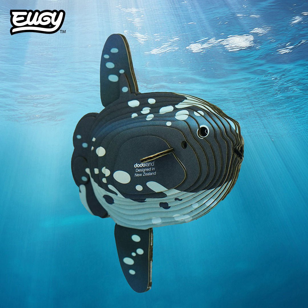 EUGY Ocean Sunfish 3D cardboard model kit - built model on display