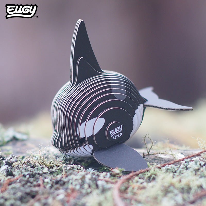 EUGY Orca 3D cardboard model kit - built model on display