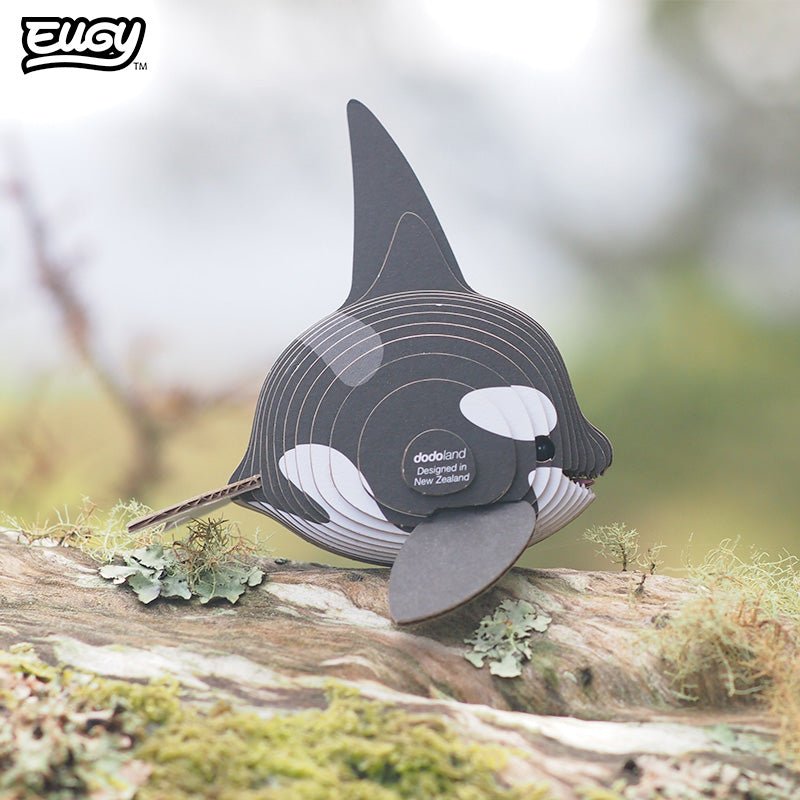 EUGY Orca 3D cardboard model kit - built model on display