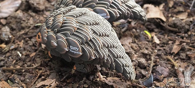 Rear view of the EUGY Pangolin card model among dry leaves and soil