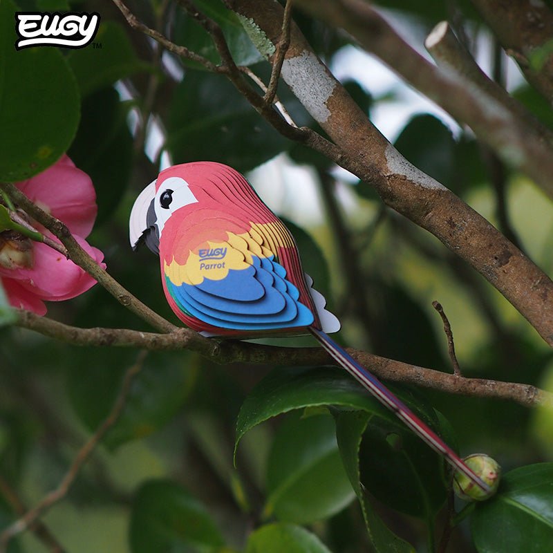 EUGY Parrot 3D cardboard model kit - built model on display