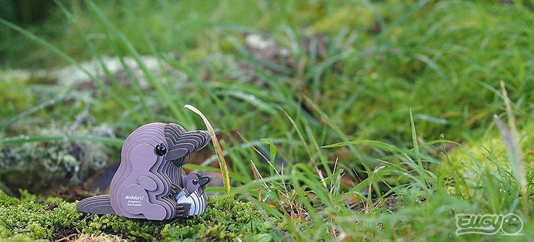 Finished EUGY Platypus card model sitting on moss in grass, outdoor lifestyle shot