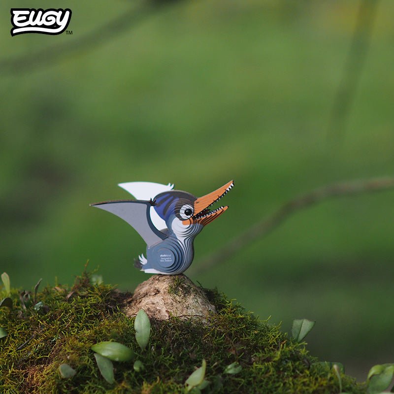 EUGY Ptero 3D cardboard model kit - built model on display