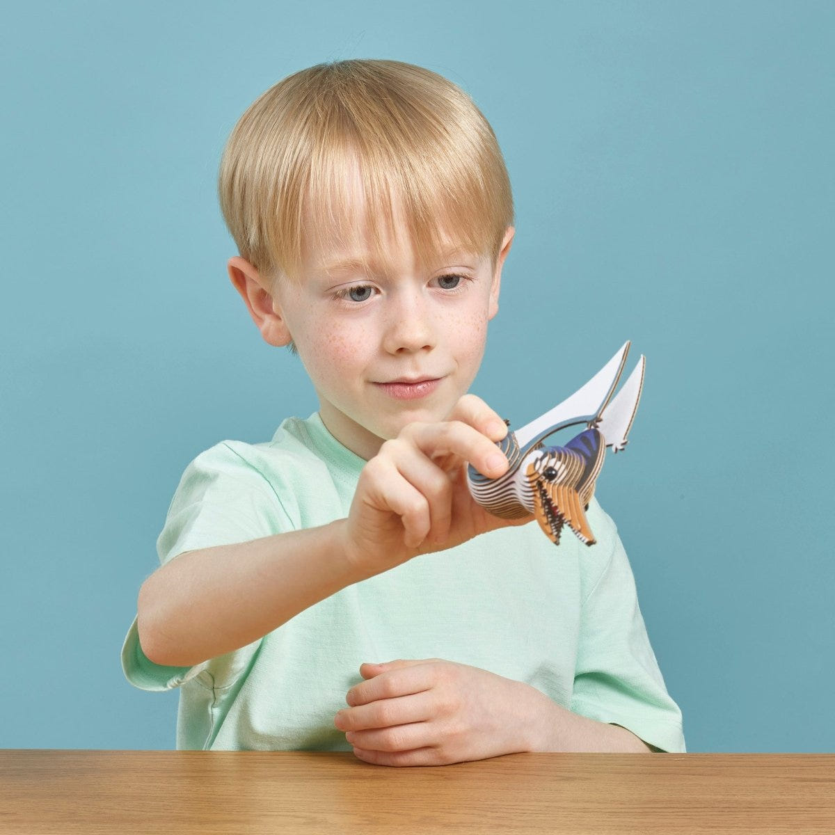 EUGY Ptero 3D cardboard model kit - child with the finished model