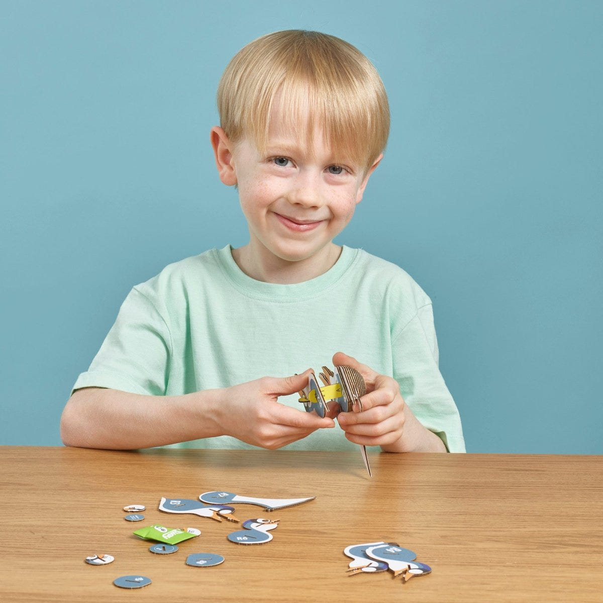 EUGY Ptero 3D cardboard model kit - child assembling the model