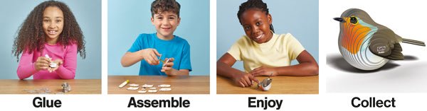 EUGY Robin - Loaded Dice