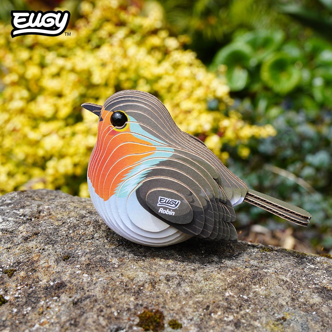 EUGY Robin 3D cardboard model kit - built model on display