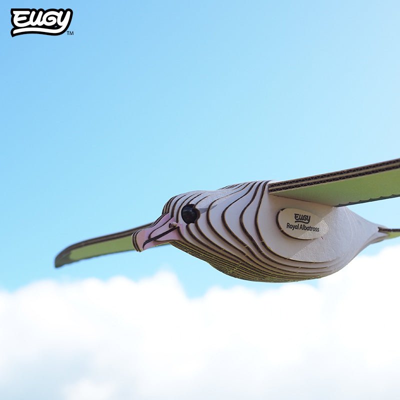 EUGY Royal Albatross 3D cardboard model kit - built model on display