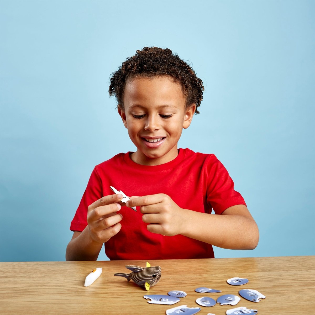 EUGY Shark 3D cardboard model kit - child with the finished model