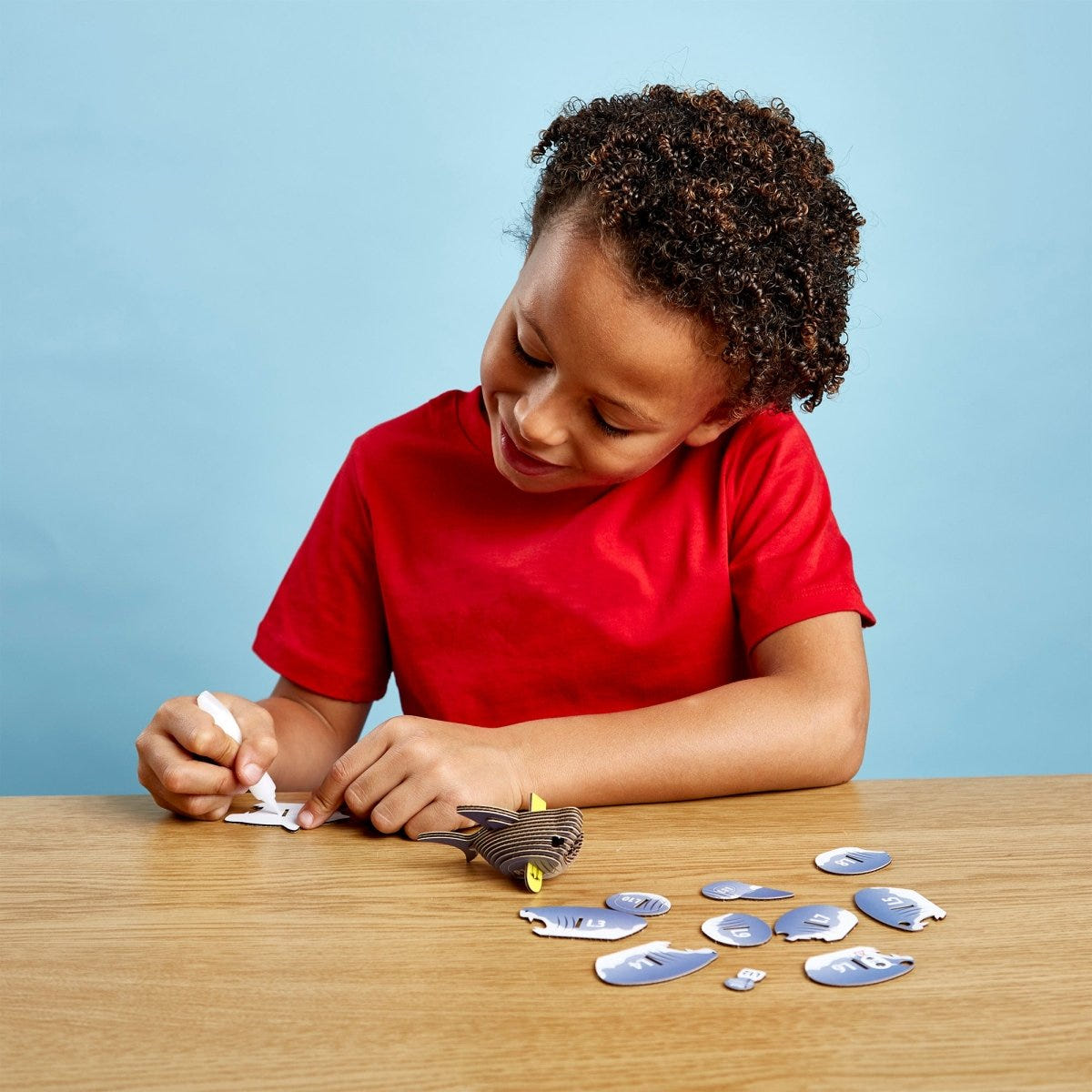 EUGY Shark 3D cardboard model kit - child gluing the pieces