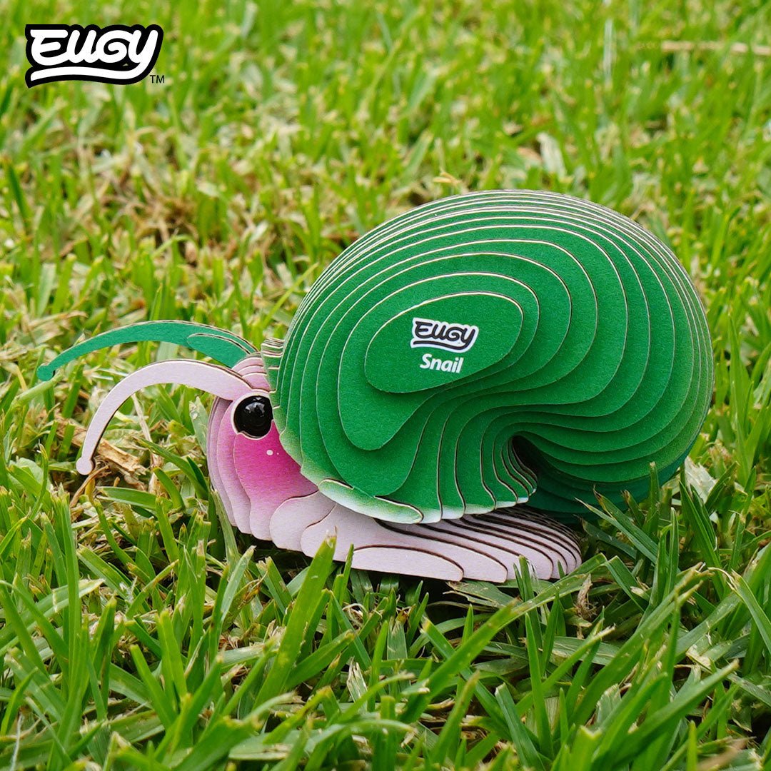 EUGY Snail 3D cardboard model kit - built model on display