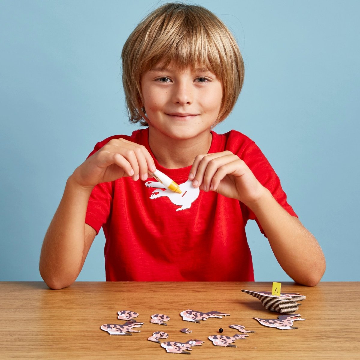 EUGY Spino 3D cardboard model kit - child gluing the pieces