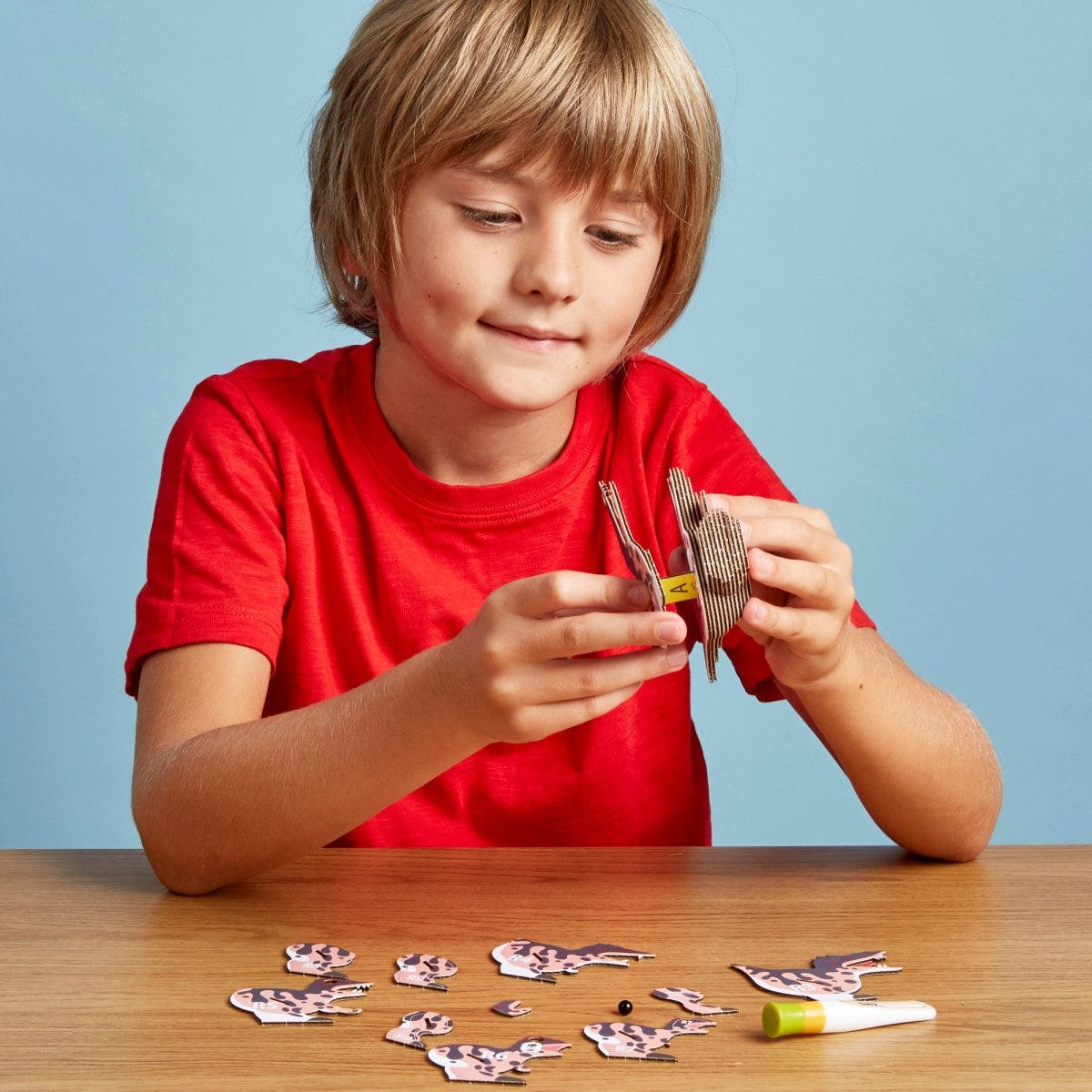 EUGY Spino 3D cardboard model kit - child assembling the model