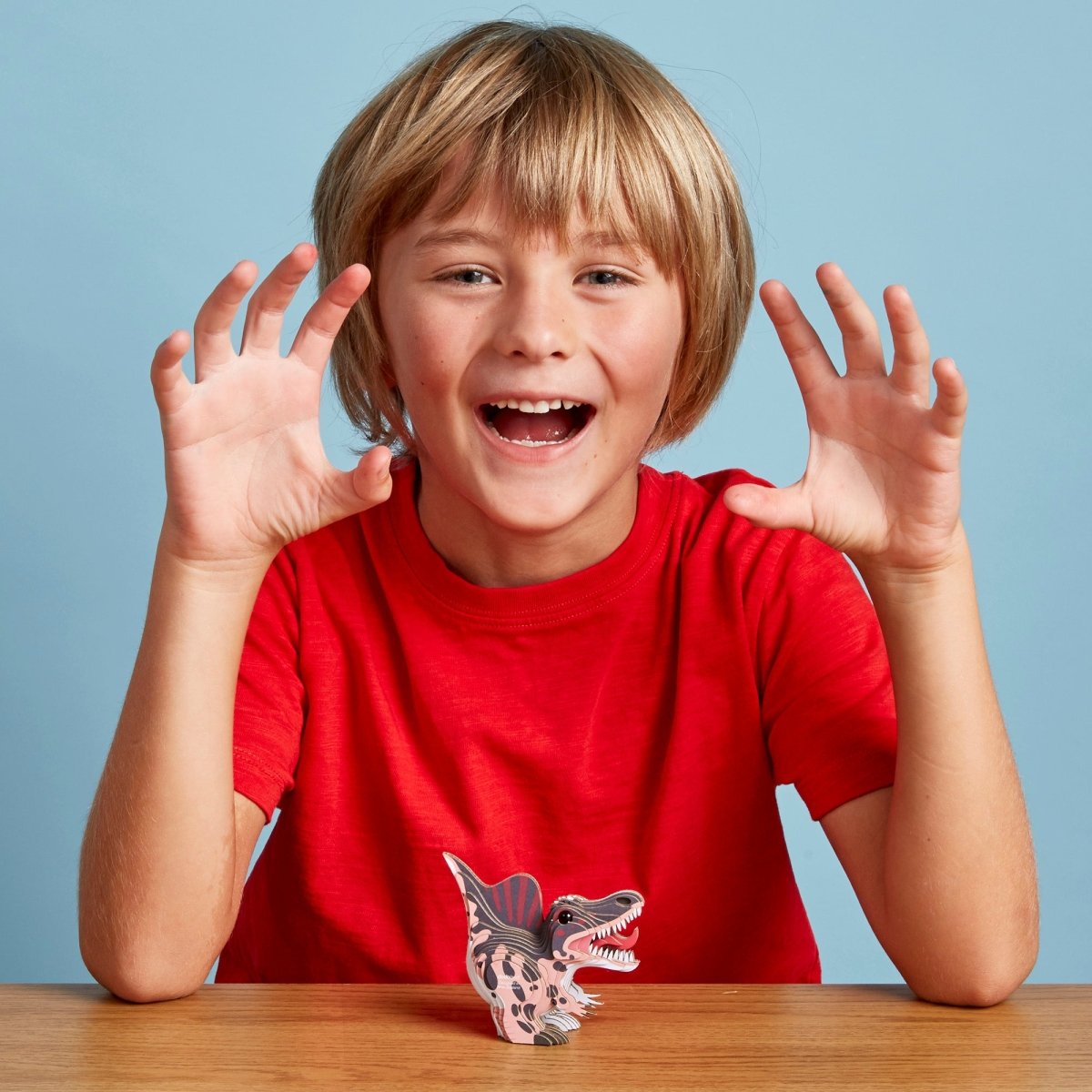 EUGY Spino 3D cardboard model kit - child with the finished model