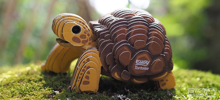 EUGY Tortoise card model on green moss in an outdoor lifestyle shot