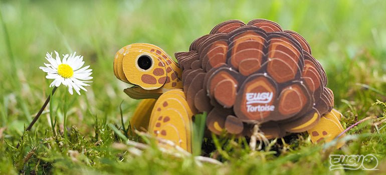 Finished EUGY Tortoise card model sitting in grass beside a daisy