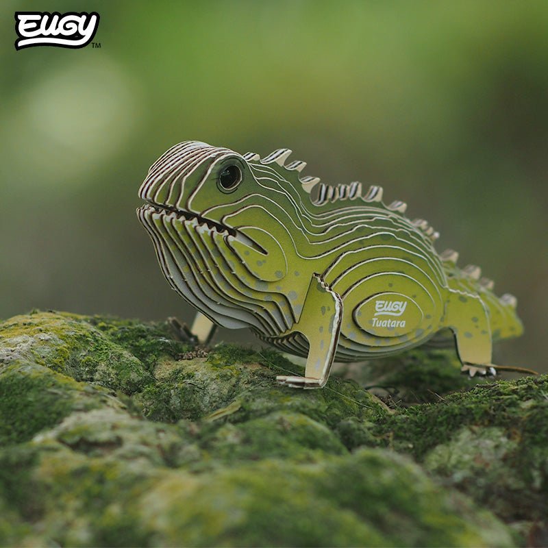 EUGY Tuatara 3D cardboard model kit - built model on display