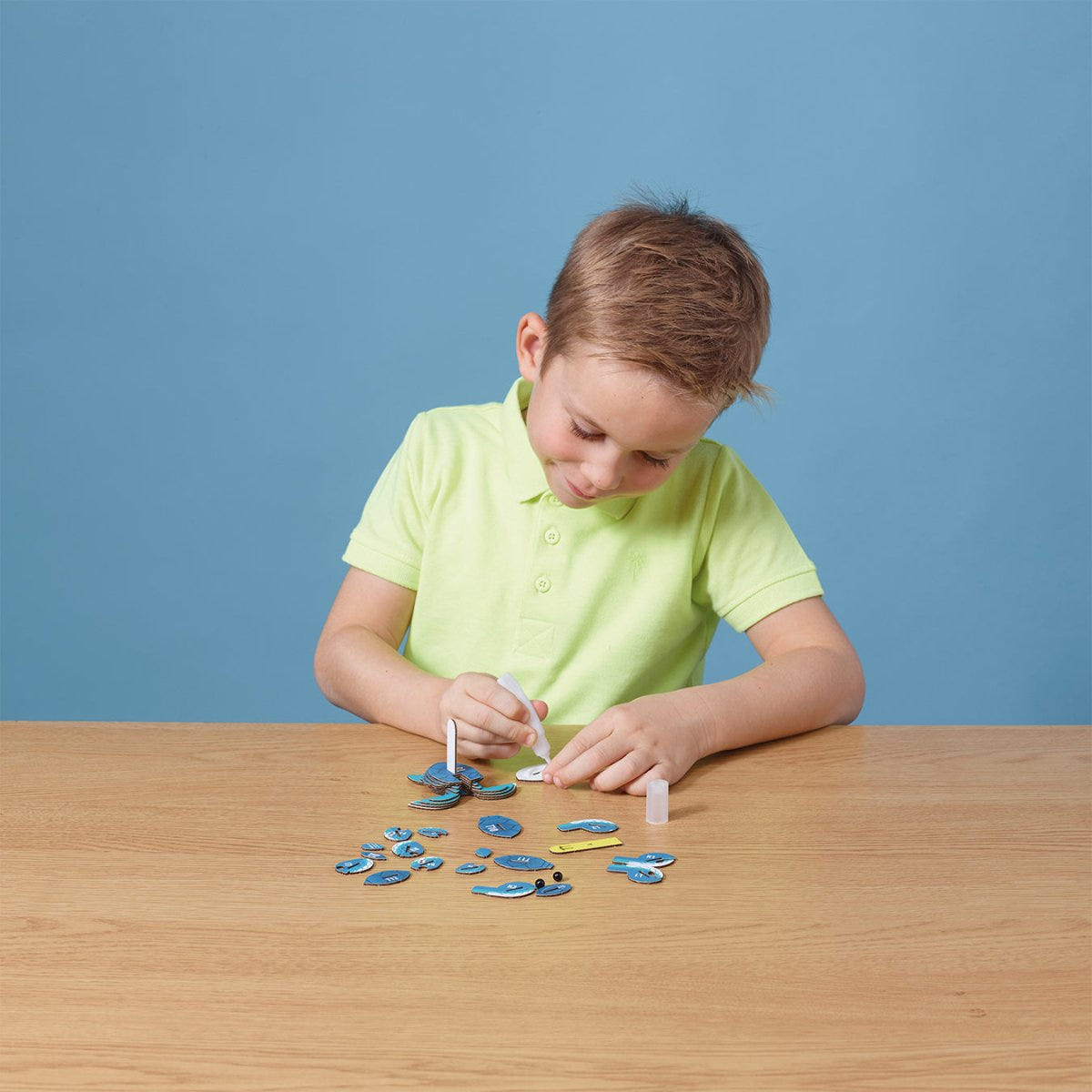 EUGY Turtle 3D cardboard model kit - child gluing the pieces