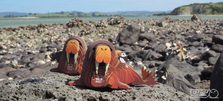 Two built EUGY Walrus card models posed on a rocky shoreline