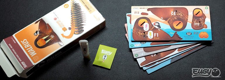EUGY Walrus box contents: pre-cut card sheets, glue pot and illustrated instructions
