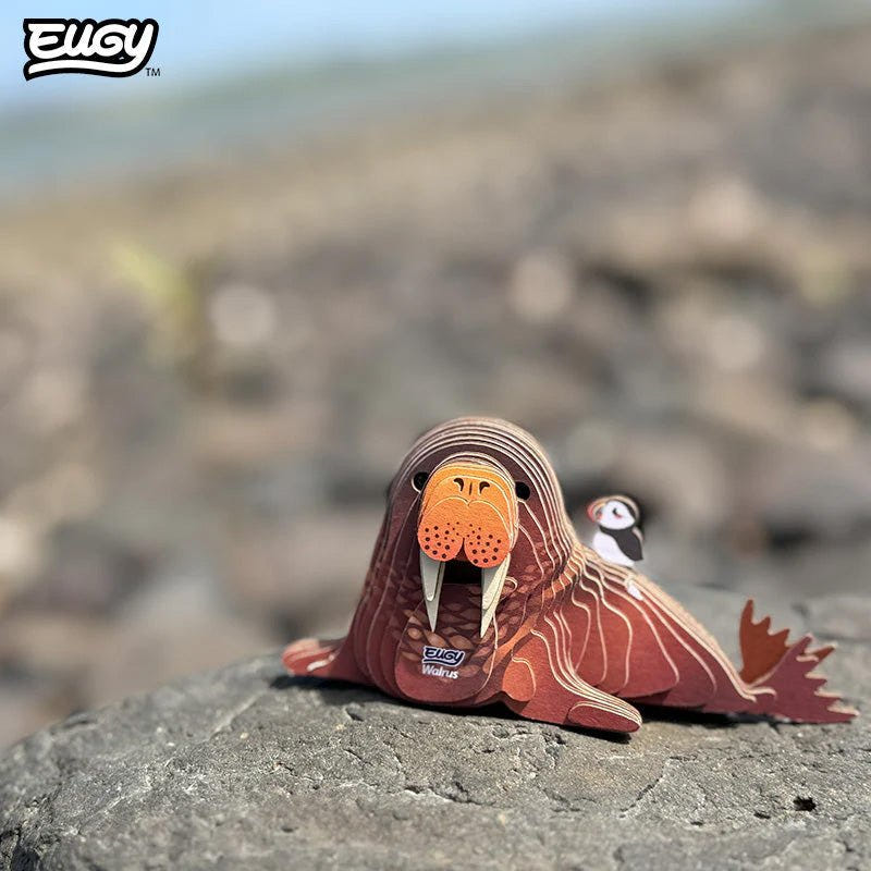 EUGY Walrus 3D cardboard model kit - built model on display