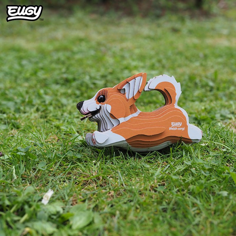 EUGY Welsh Corgi 3D cardboard model kit - built model on display
