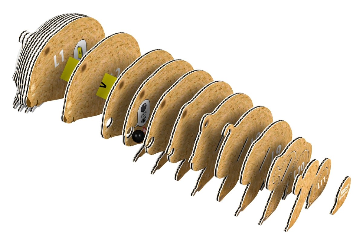 EUGY Wombat 3D cardboard model kit - exploded view of the numbered layers