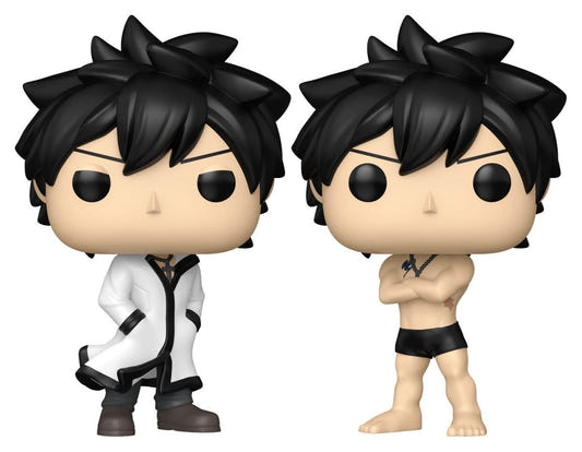Fairy Tail 100 Year Quest POP! Animation Vinyl Figures Gray 9 cm – Sealed Case of 6 (with Chase chance)