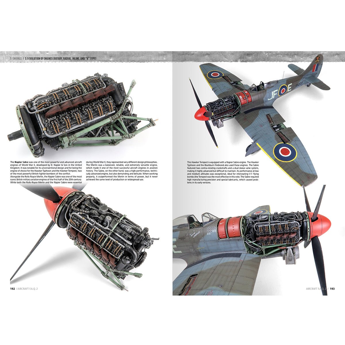 F.A.Q. 2 Aircraft Scale Modelling by Daniel Zamarbide - Loaded Dice