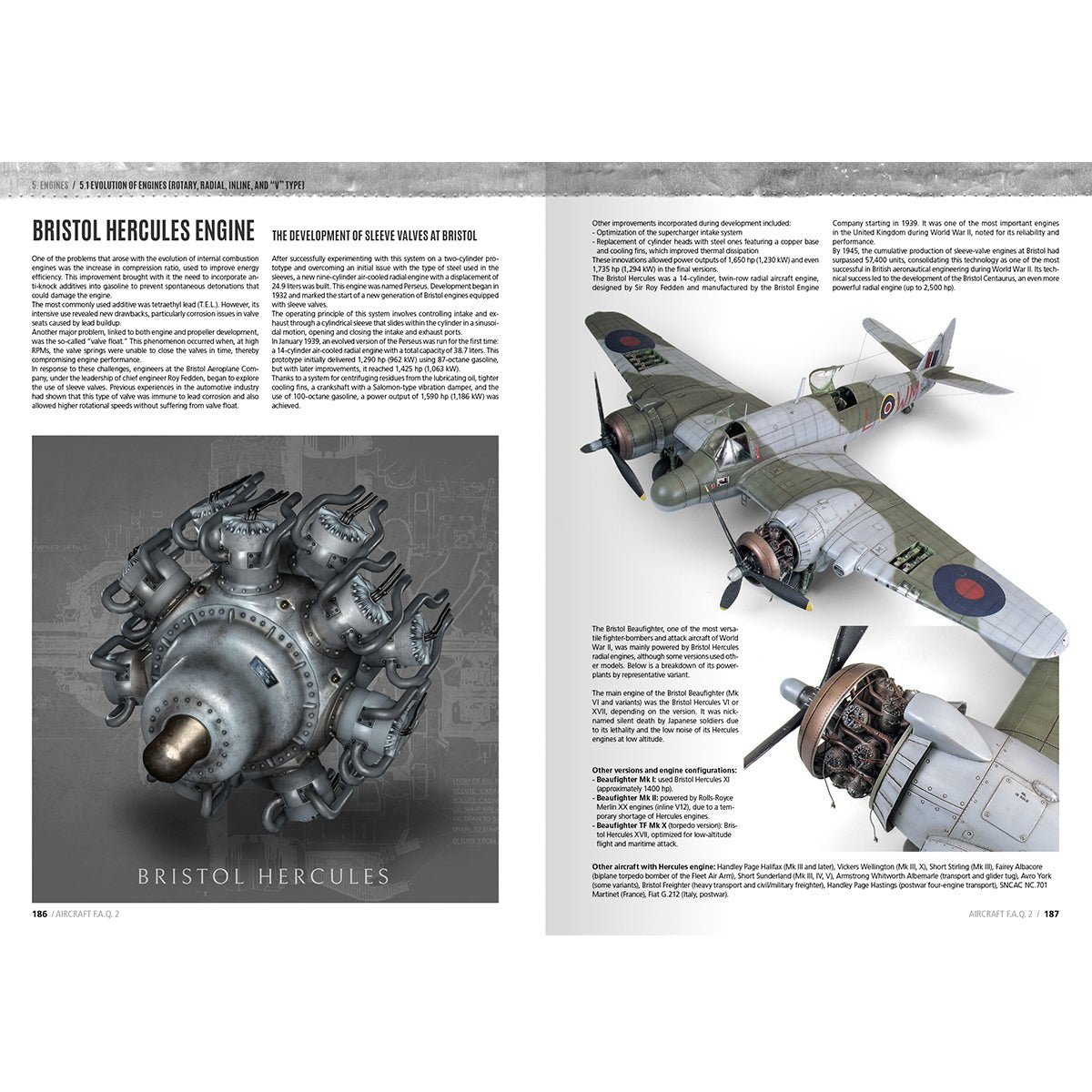 F.A.Q. 2 Aircraft Scale Modelling by Daniel Zamarbide - Loaded Dice