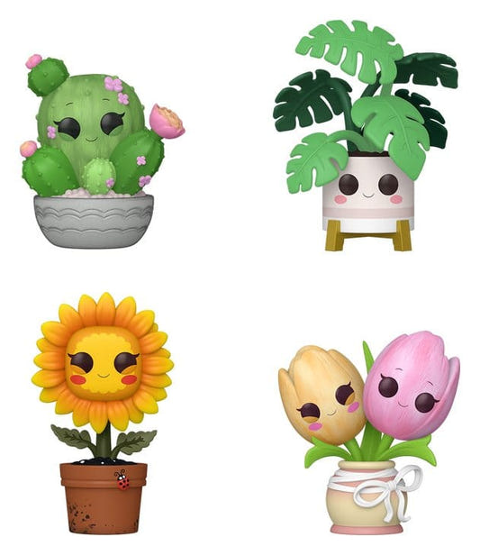 Funko POP! Flora figures: smiling barrel cactus, monstera, sunflower and tulips in pots, out of box