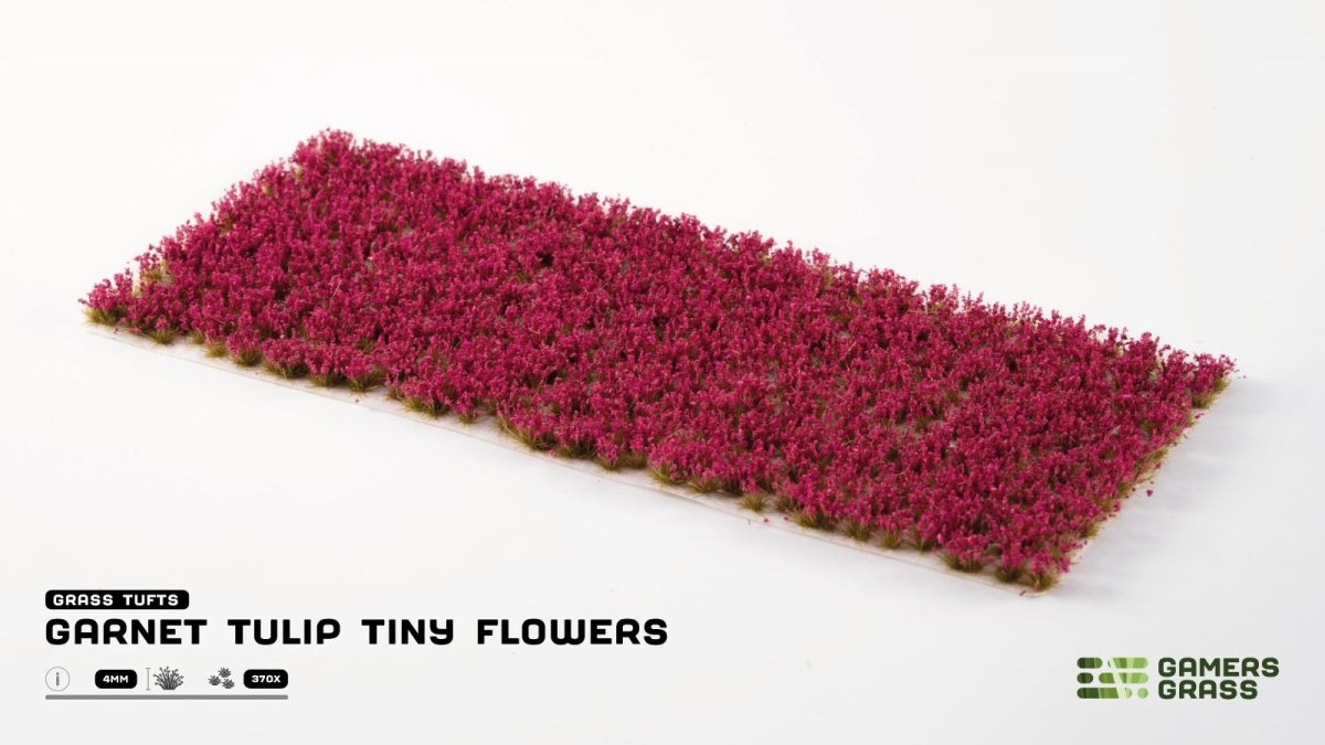 Sheet of Gamers Grass Garnet Tulip Tiny Flowers, deep red flower tufts on a white background
