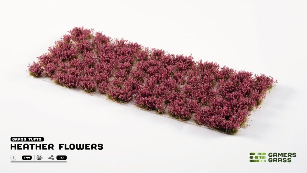 Sheet of Gamers Grass Heather Flowers purple-pink tufts on its backing