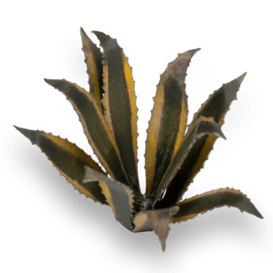 Gamers Grass Laser Plants - Agave - Loaded Dice
