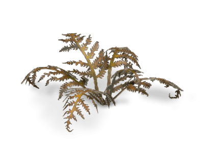 Gamers Grass Laser Plants - Dry Bracken - Loaded Dice
