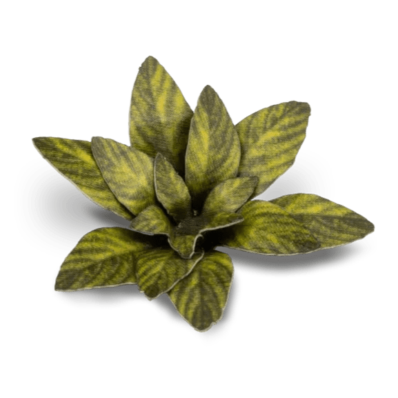 Gamers Grass Laser Plants - Dumb Cane - Loaded Dice
