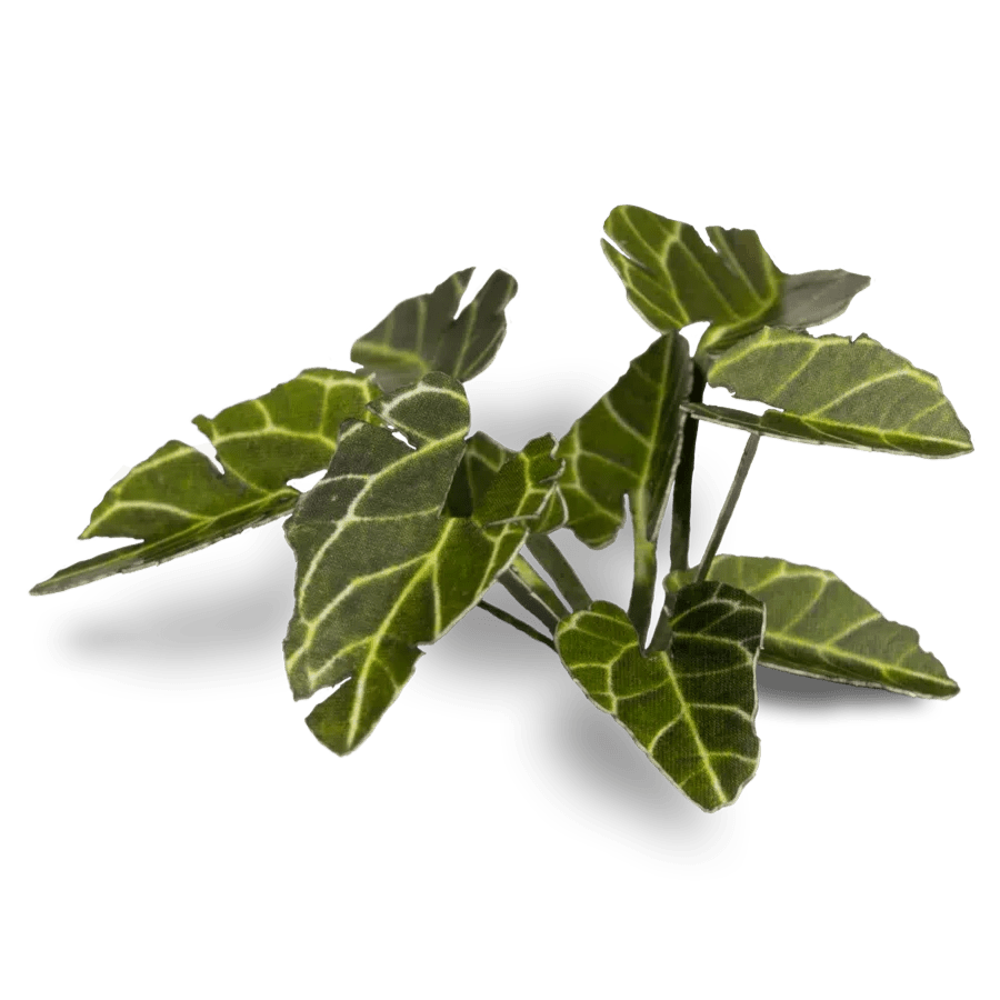 Gamers Grass Laser Plants - Elephant Ear - Loaded Dice