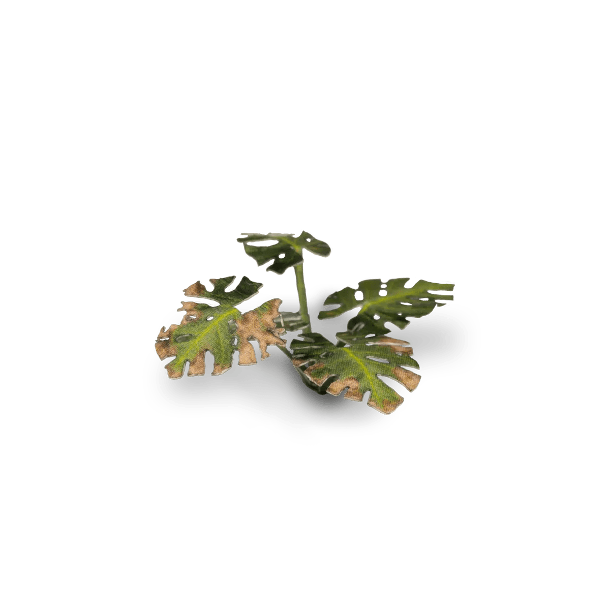 Gamers Grass Laser Plants - Monstera - Loaded Dice