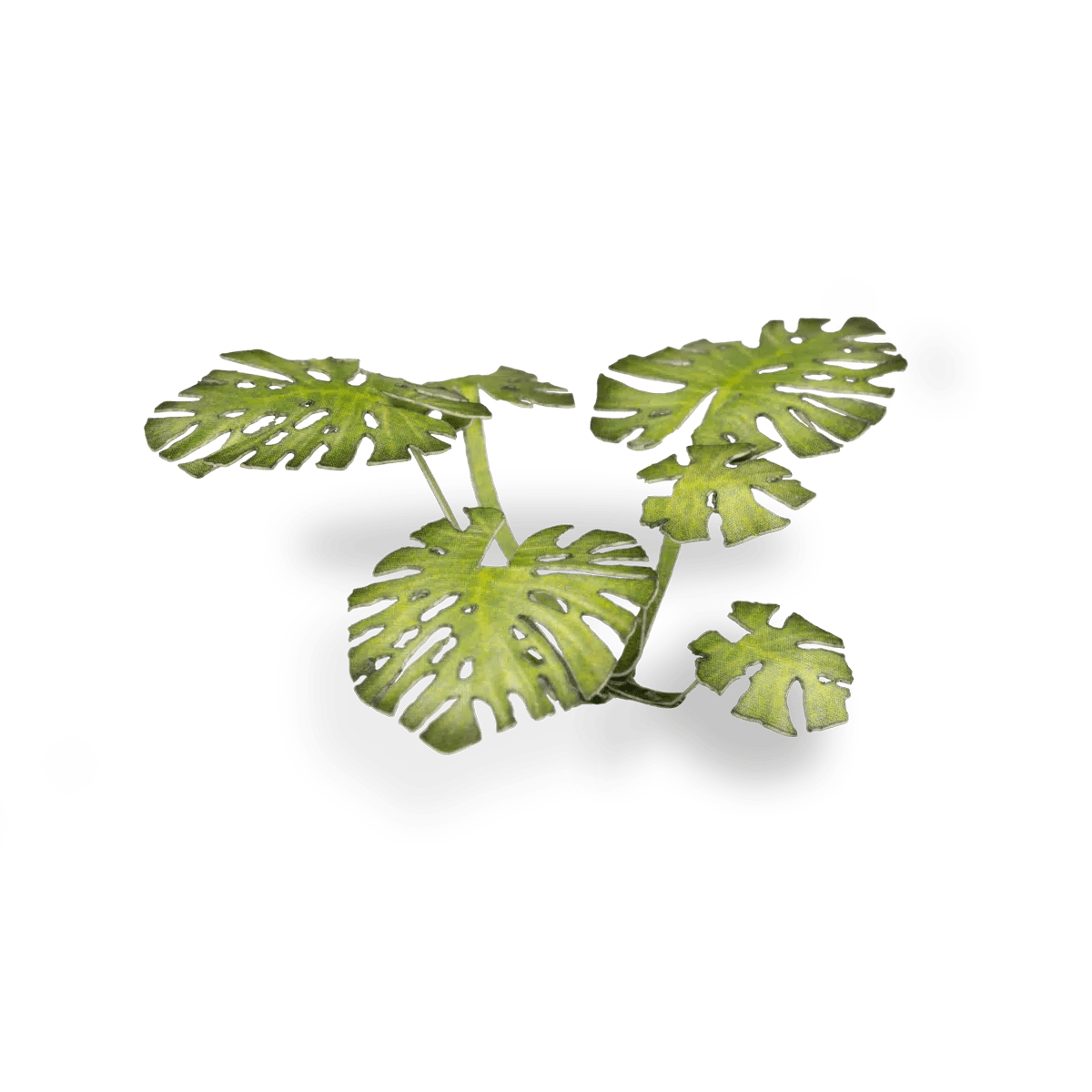 Gamers Grass Laser Plants - Monstera - Loaded Dice